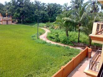 Zarells Vacation Apartments, Goa 1